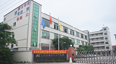 热烈欢迎渠县县委领导莅临我司参观指导！